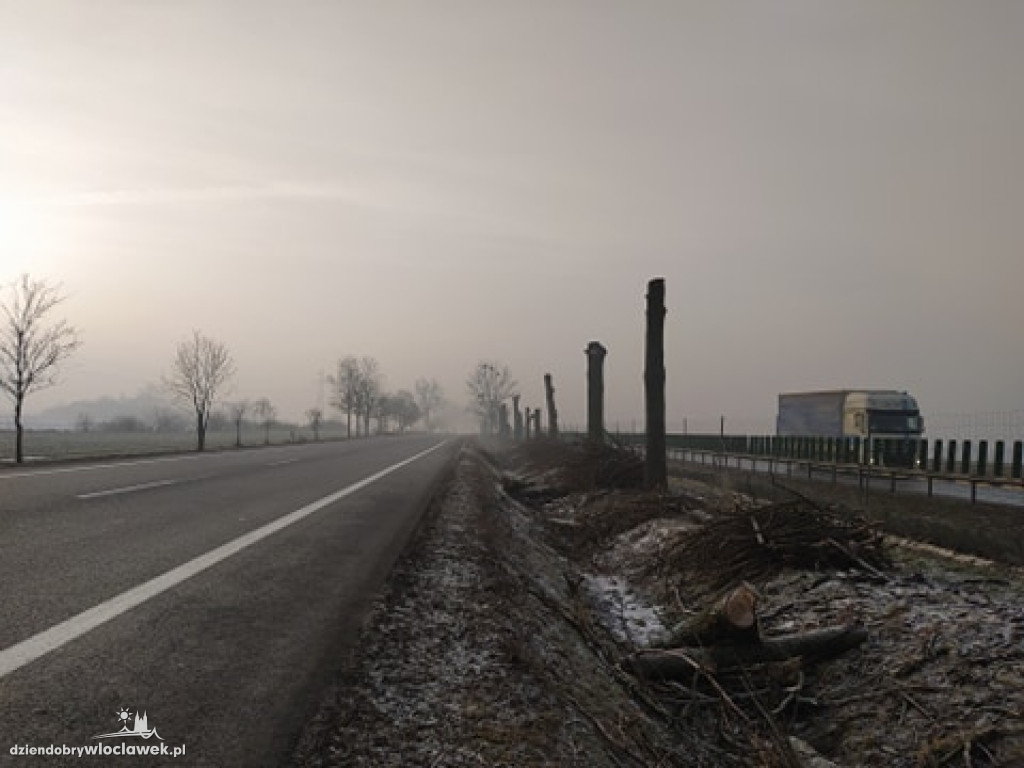 Wytną kilkadziesiąt drzew przy drodze krajowej