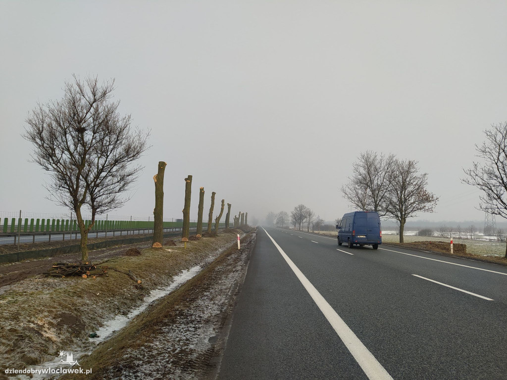 Wytną kilkadziesiąt drzew przy drodze krajowej