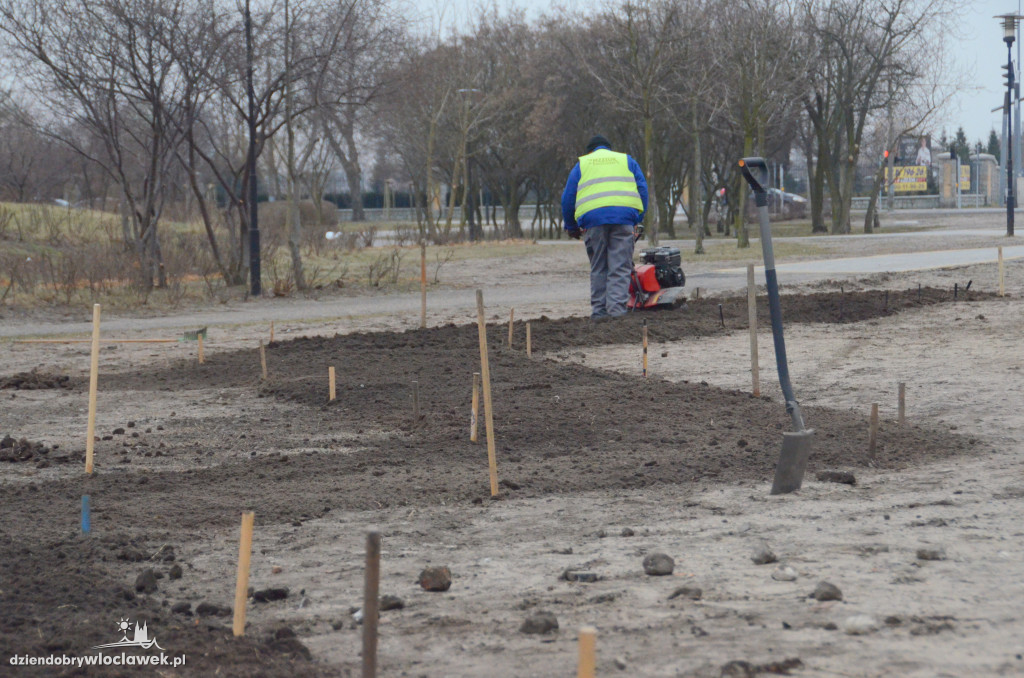 Tu powstaje nowa łąka kwiatowa
