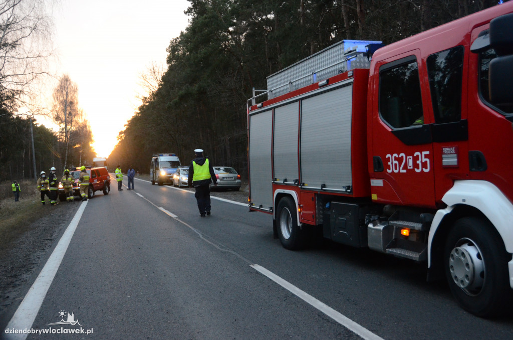 Auto w rowie przy DK 62 w kierunku Płocka