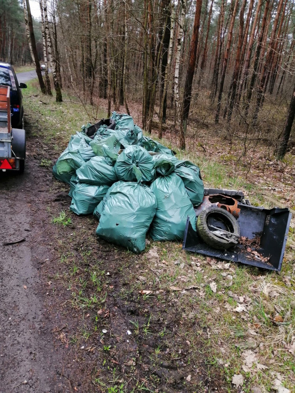 Sprzątanie lasu na Zawiślu