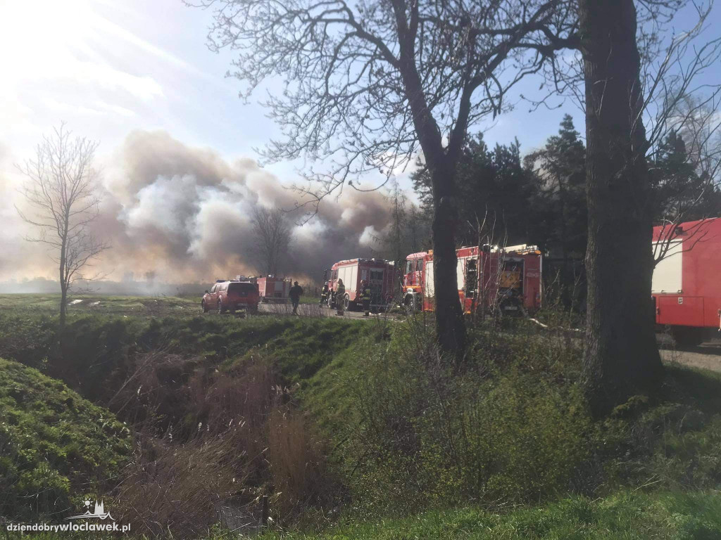 Kolejny pożar wysypiska śmieci