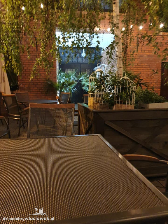 Takie ogródki mają włocławskie restauracje