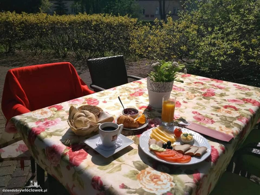 Takie ogródki mają włocławskie restauracje