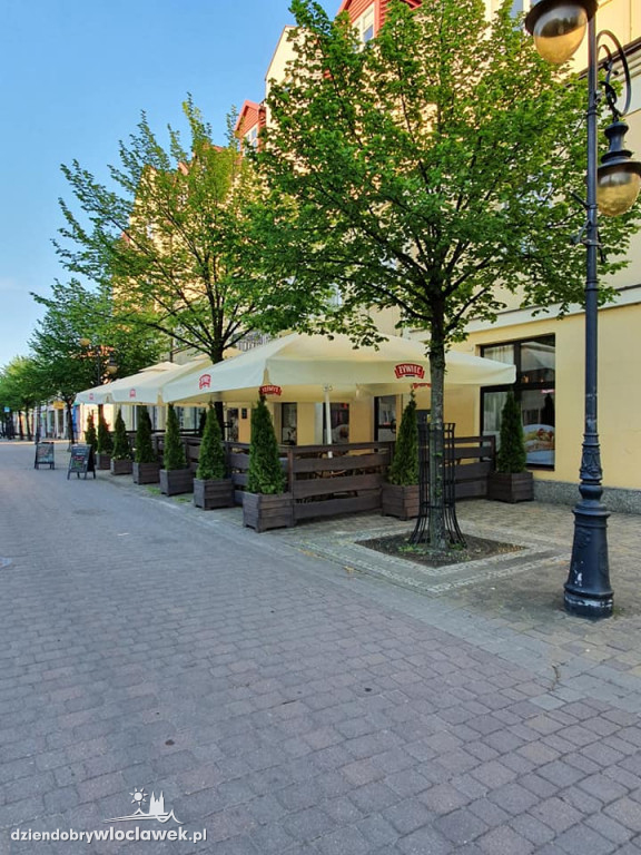Takie ogródki mają włocławskie restauracje