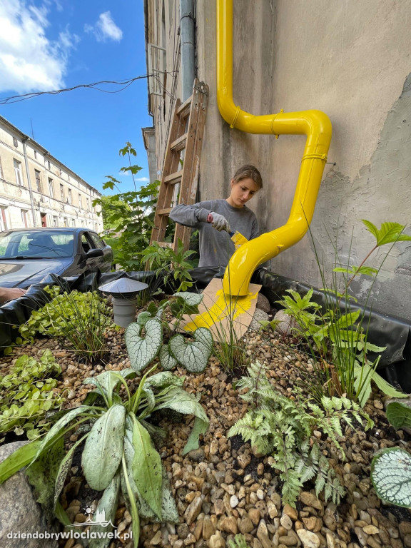 Na Śródmieściu zbudowali WŁOgród