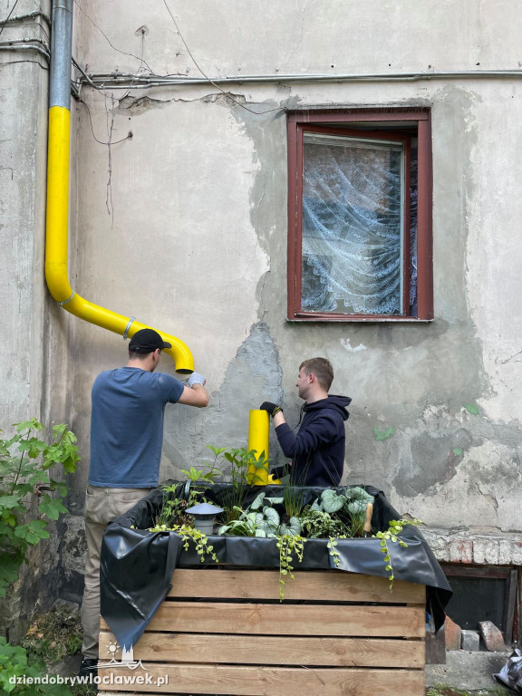 Na Śródmieściu zbudowali WŁOgród