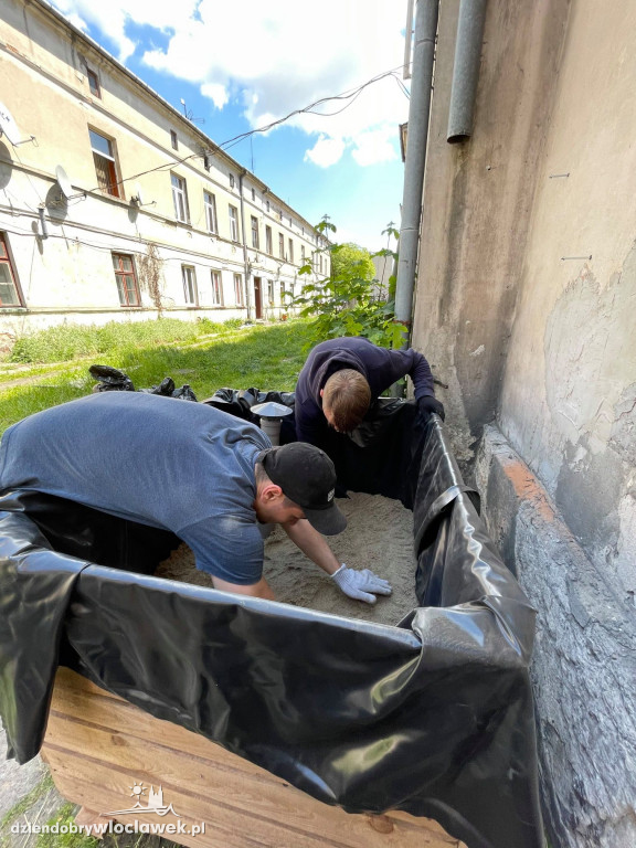 Na Śródmieściu zbudowali WŁOgród
