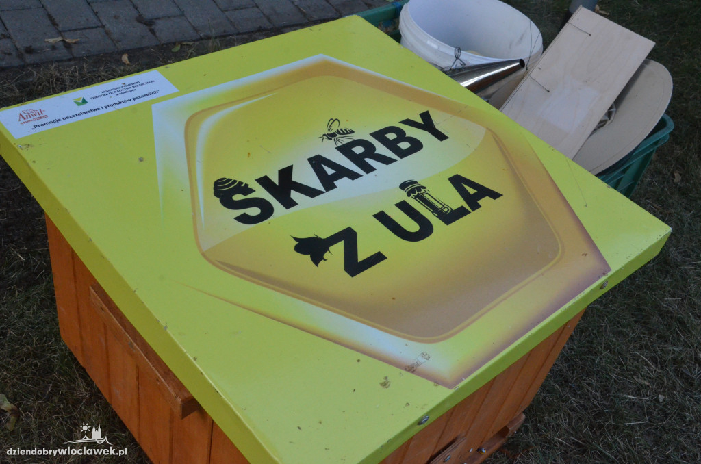 Warsztaty z pszczelarzem we włocławskiej bibliotece