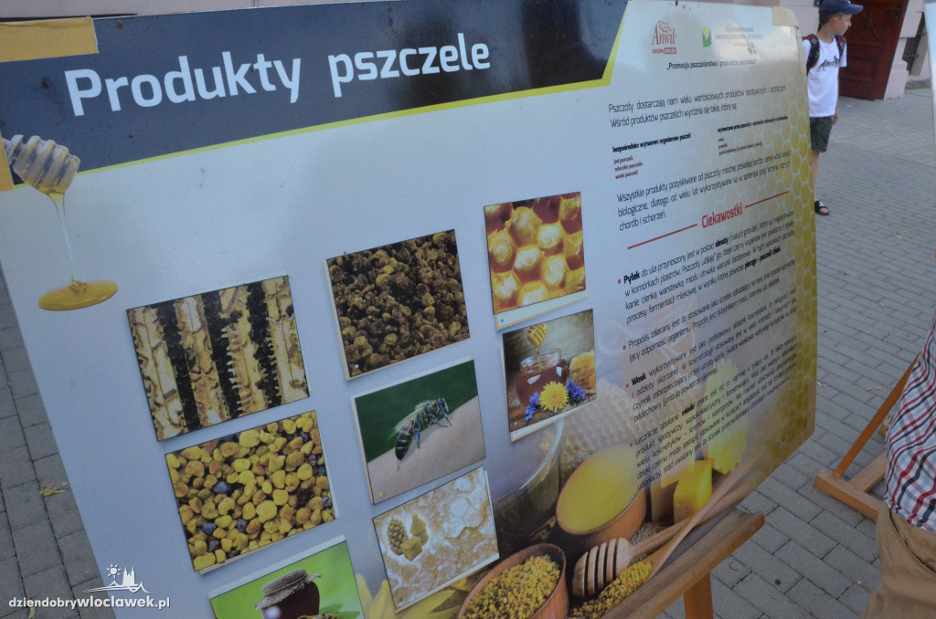 Warsztaty z pszczelarzem we włocławskiej bibliotece
