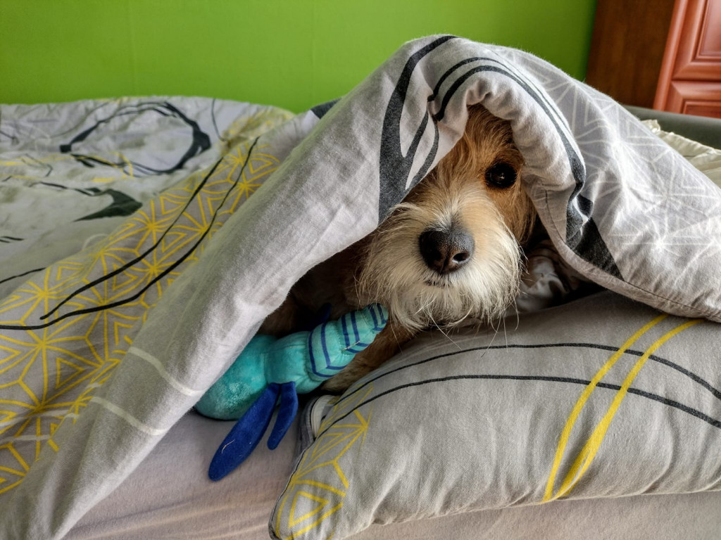 Poznajcie pupili naszych Czytelników