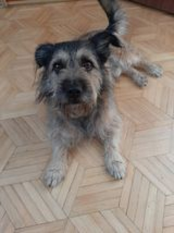 Poznajcie pupili naszych Czytelników