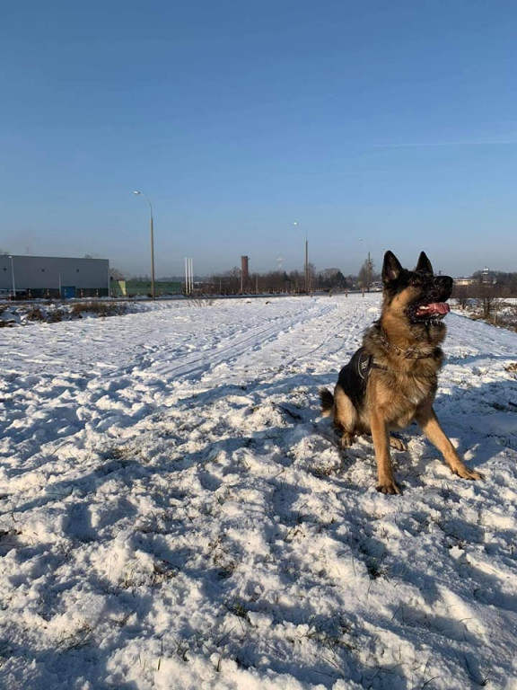 Poznajcie pupili naszych Czytelników