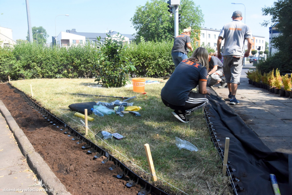 Pracownicy OBI odmienili Plac Staszica