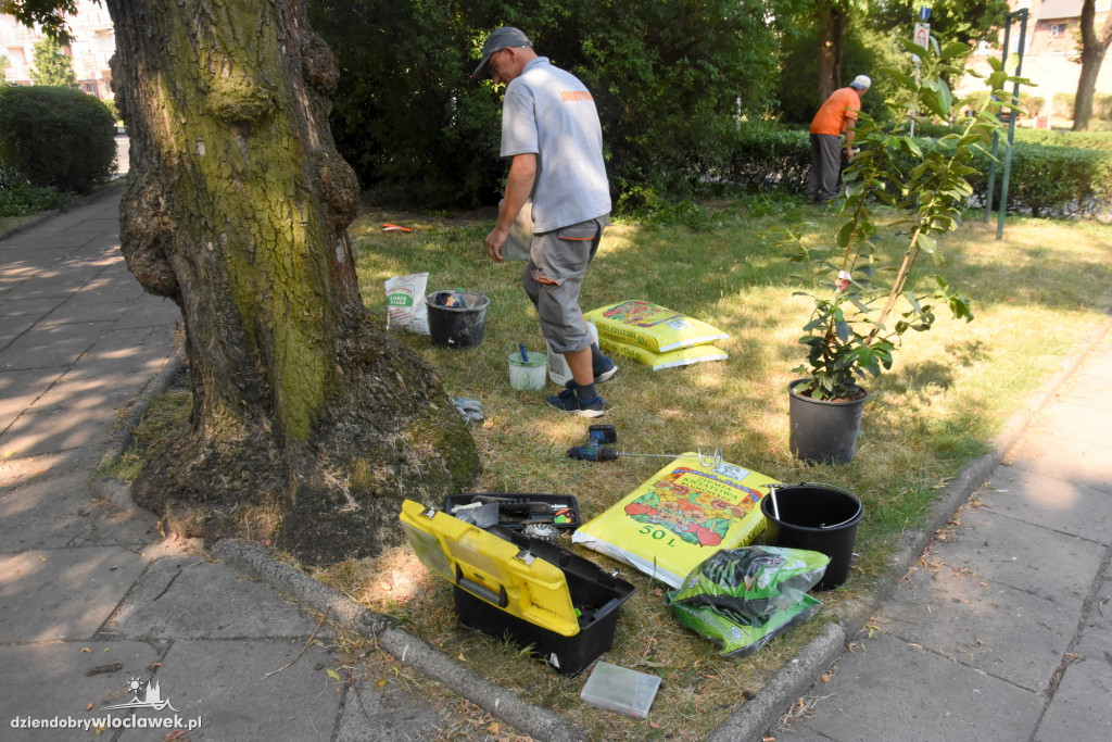 Pracownicy OBI odmienili Plac Staszica