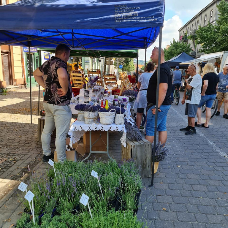 EkoJarmark w Śródmieściu
