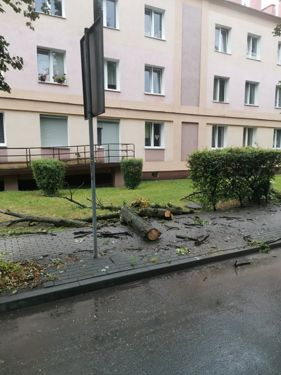 Takie straty spowodowała nocna burza