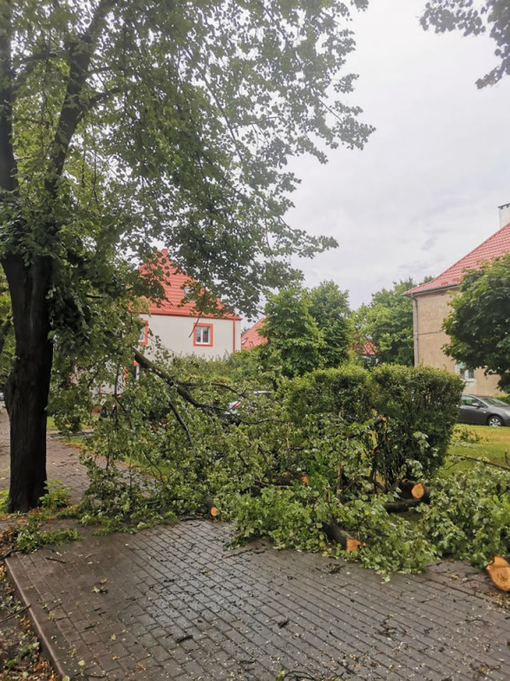 Takie straty spowodowała nocna burza