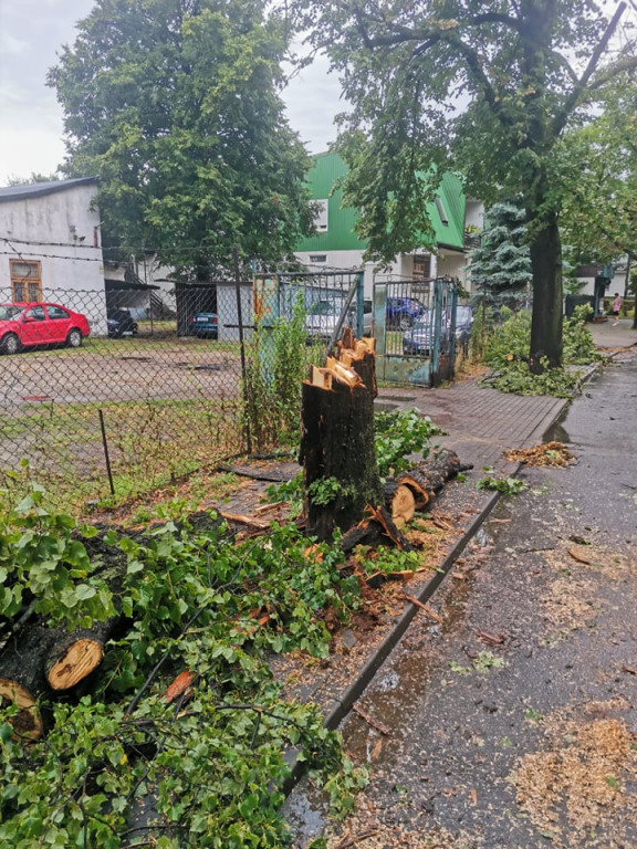 Takie straty spowodowała nocna burza