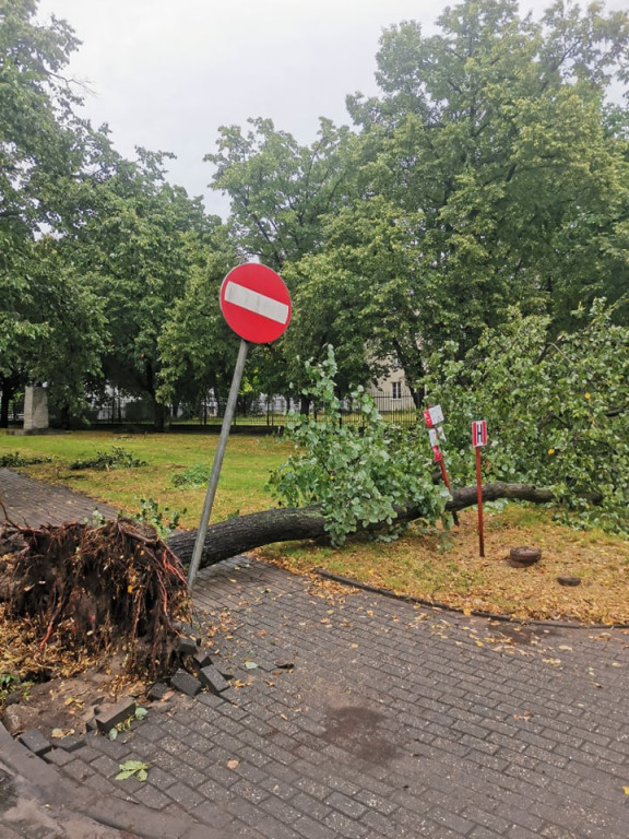 Takie straty spowodowała nocna burza