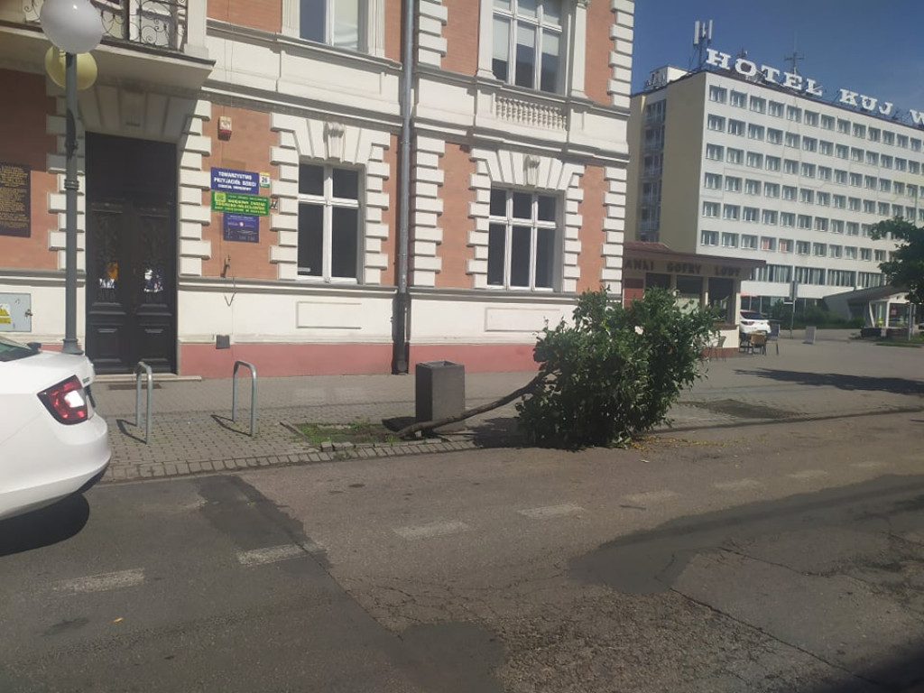 Takie straty spowodowała nocna burza