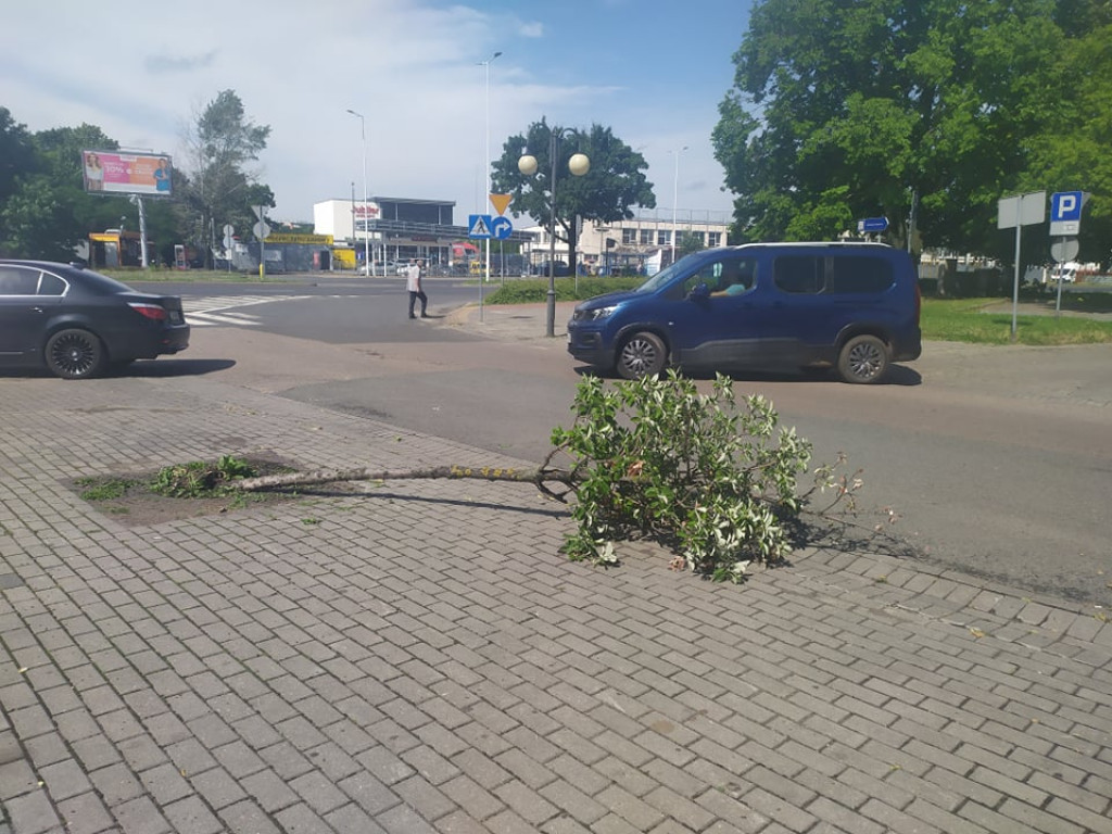 Takie straty spowodowała nocna burza