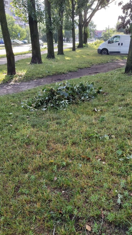 Nawałnica w obiektywach Czytelników
