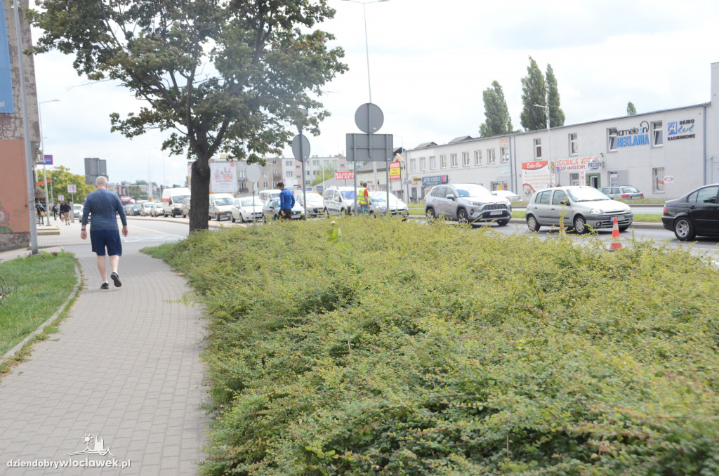 Zderzenie czterech aut na ul. Okrzei