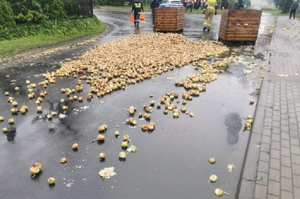 Droga całkowicie usłana cebulą
