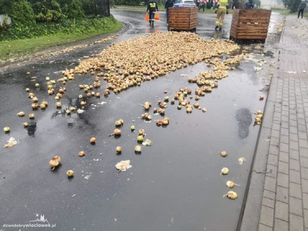 Droga całkowicie usłana cebulą
