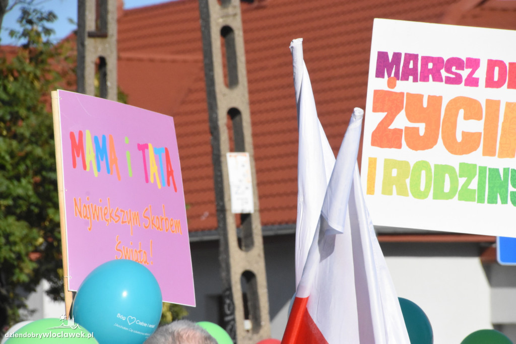 Diecezjalny Marsz dla Życia i Rodziny