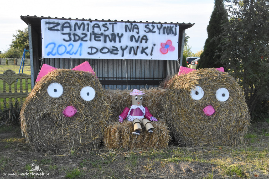 Bal Rolnika w Poddębicach