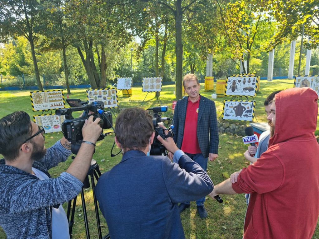 Miodobranie w miejskiej ciepłowni