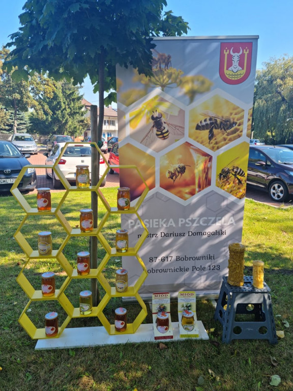 Miodobranie w miejskiej ciepłowni
