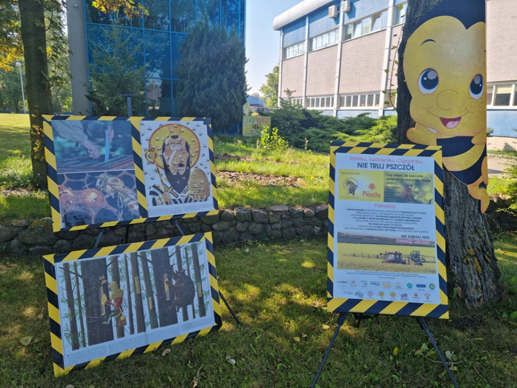Miodobranie w miejskiej ciepłowni