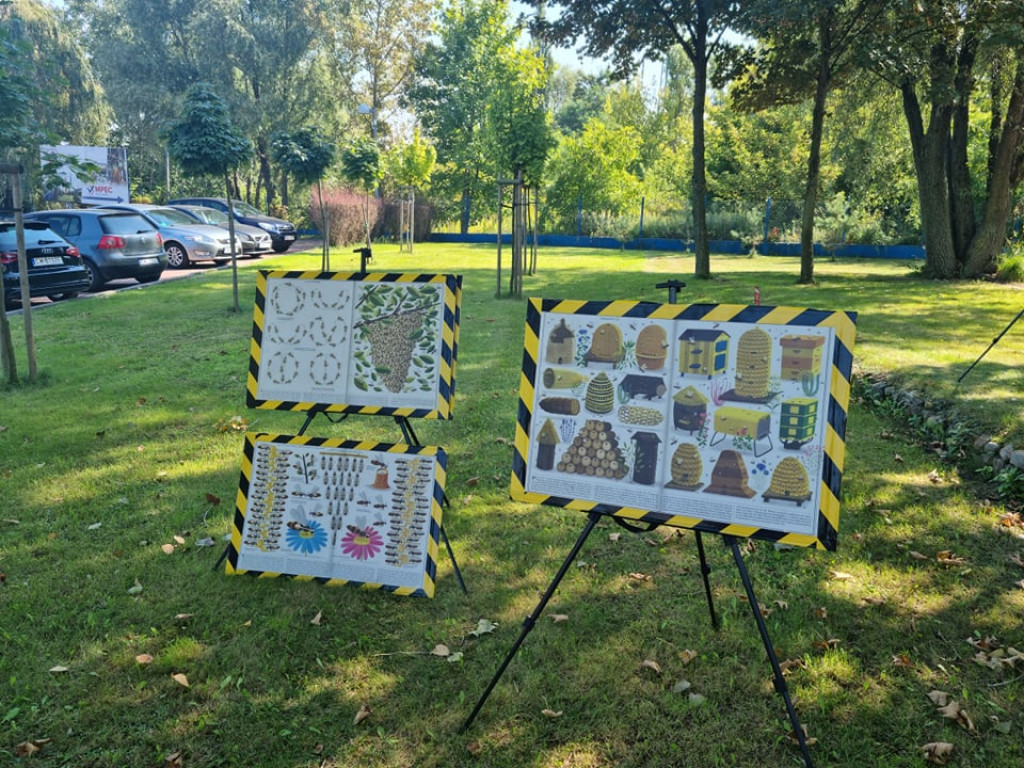 Miodobranie w miejskiej ciepłowni