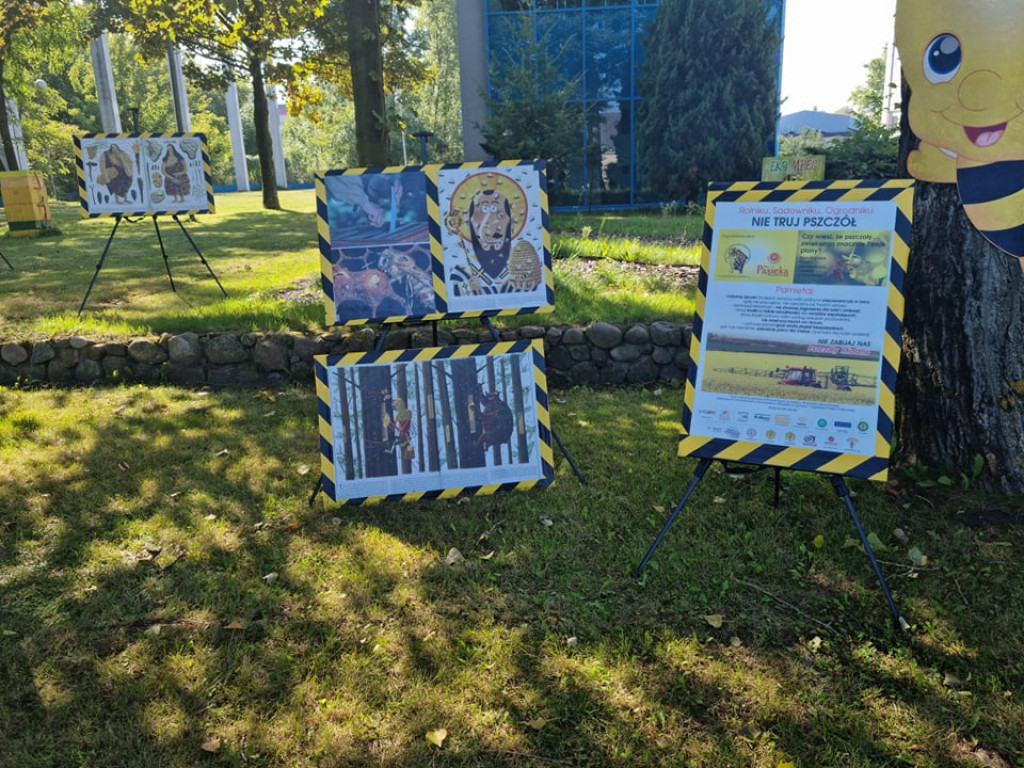 Miodobranie w miejskiej ciepłowni