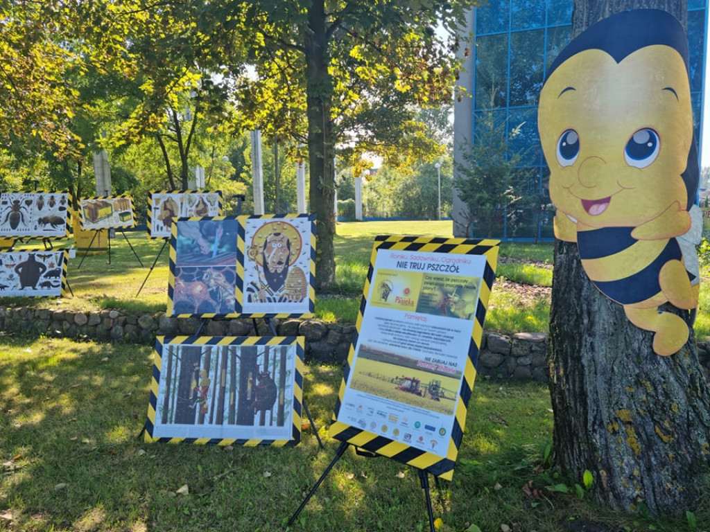 Miodobranie w miejskiej ciepłowni