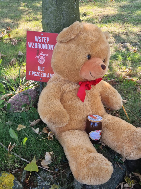Miodobranie w miejskiej ciepłowni