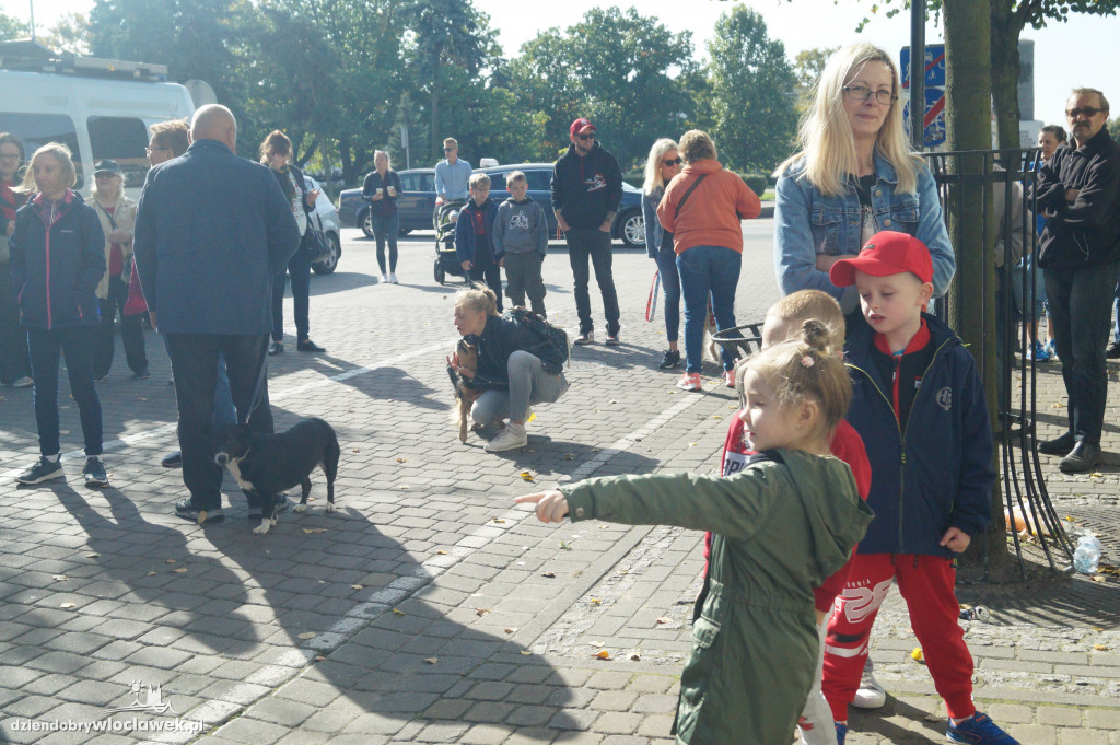 Przemarsz adopciaków przez Śródmieście