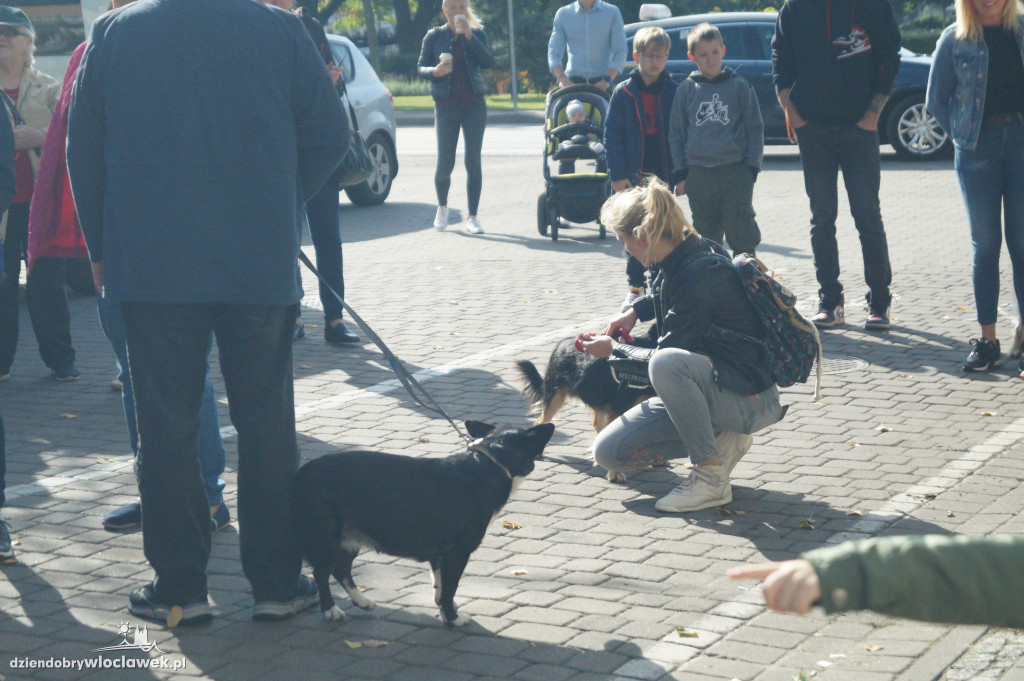 Przemarsz adopciaków przez Śródmieście