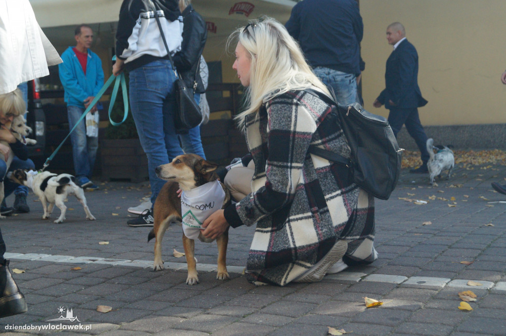 Przemarsz adopciaków przez Śródmieście