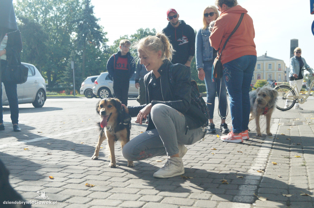 Przemarsz adopciaków przez Śródmieście