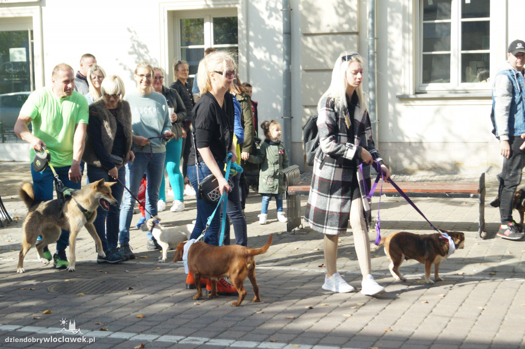 Przemarsz adopciaków przez Śródmieście