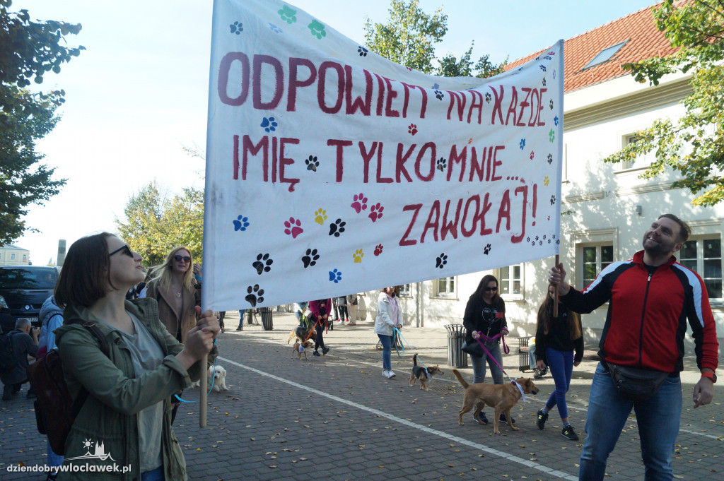 Przemarsz adopciaków przez Śródmieście