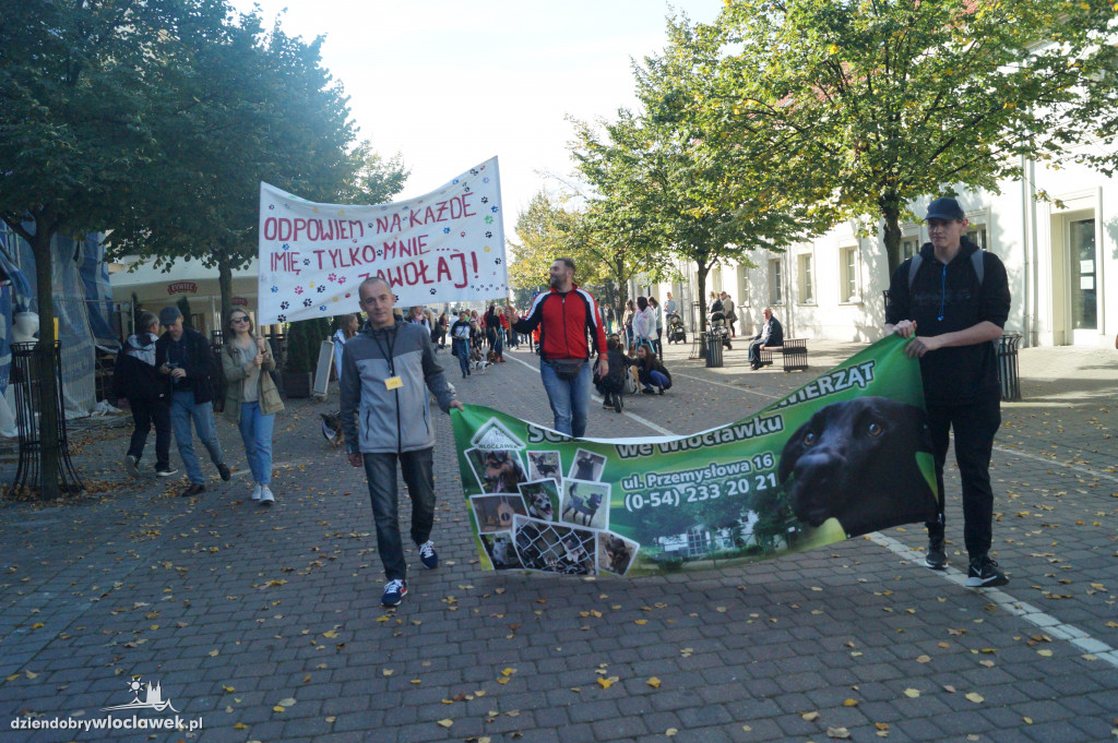Przemarsz adopciaków przez Śródmieście
