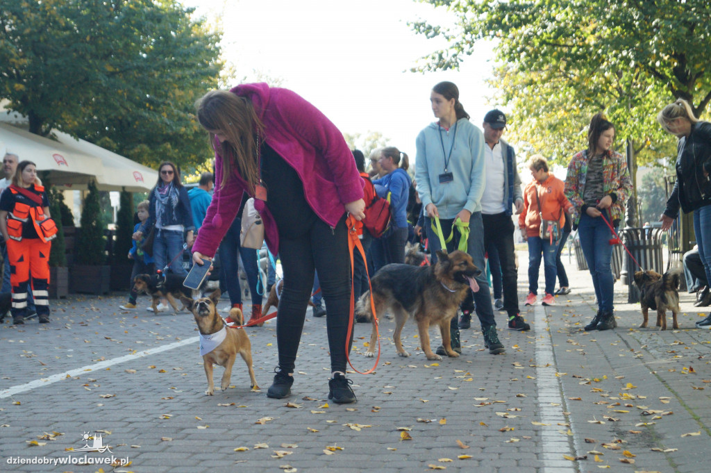 Przemarsz adopciaków przez Śródmieście