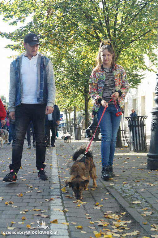 Przemarsz adopciaków przez Śródmieście