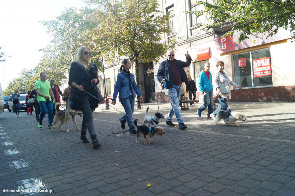 Przemarsz adopciaków przez Śródmieście
