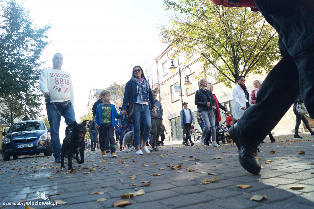 Przemarsz adopciaków przez Śródmieście